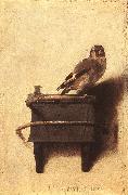 FABRITIUS, Carel The Goldfinch dfgh oil painting picture wholesale